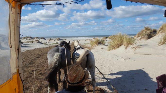 Huifkar tocht